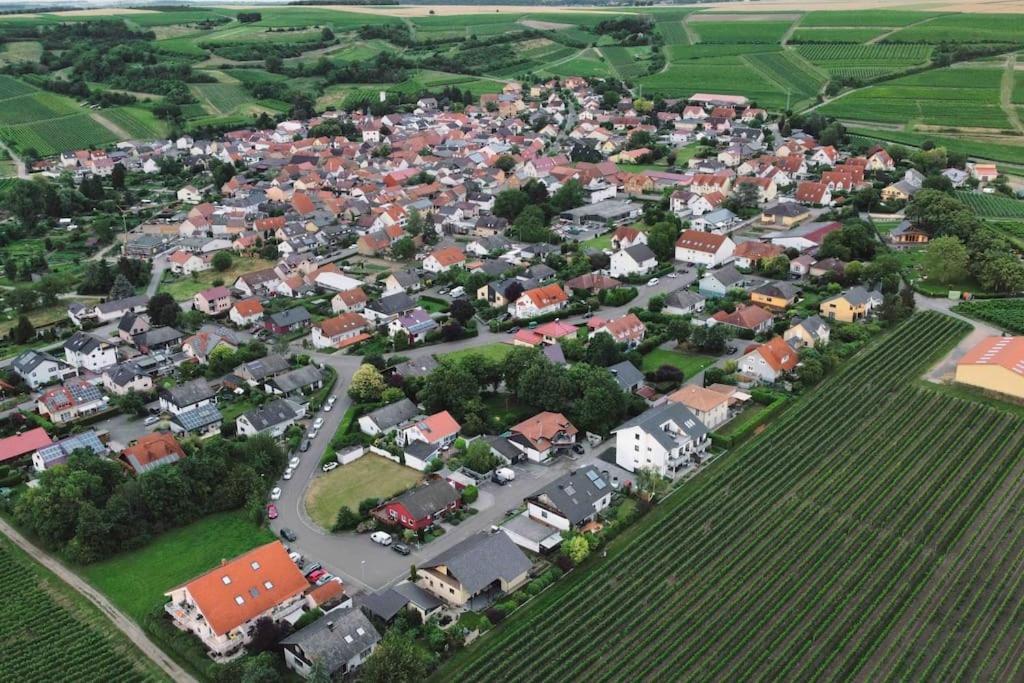 Apartment 100 Qm Im Weindorf - Balkon/Garage Aspisheim Zewnętrze zdjęcie