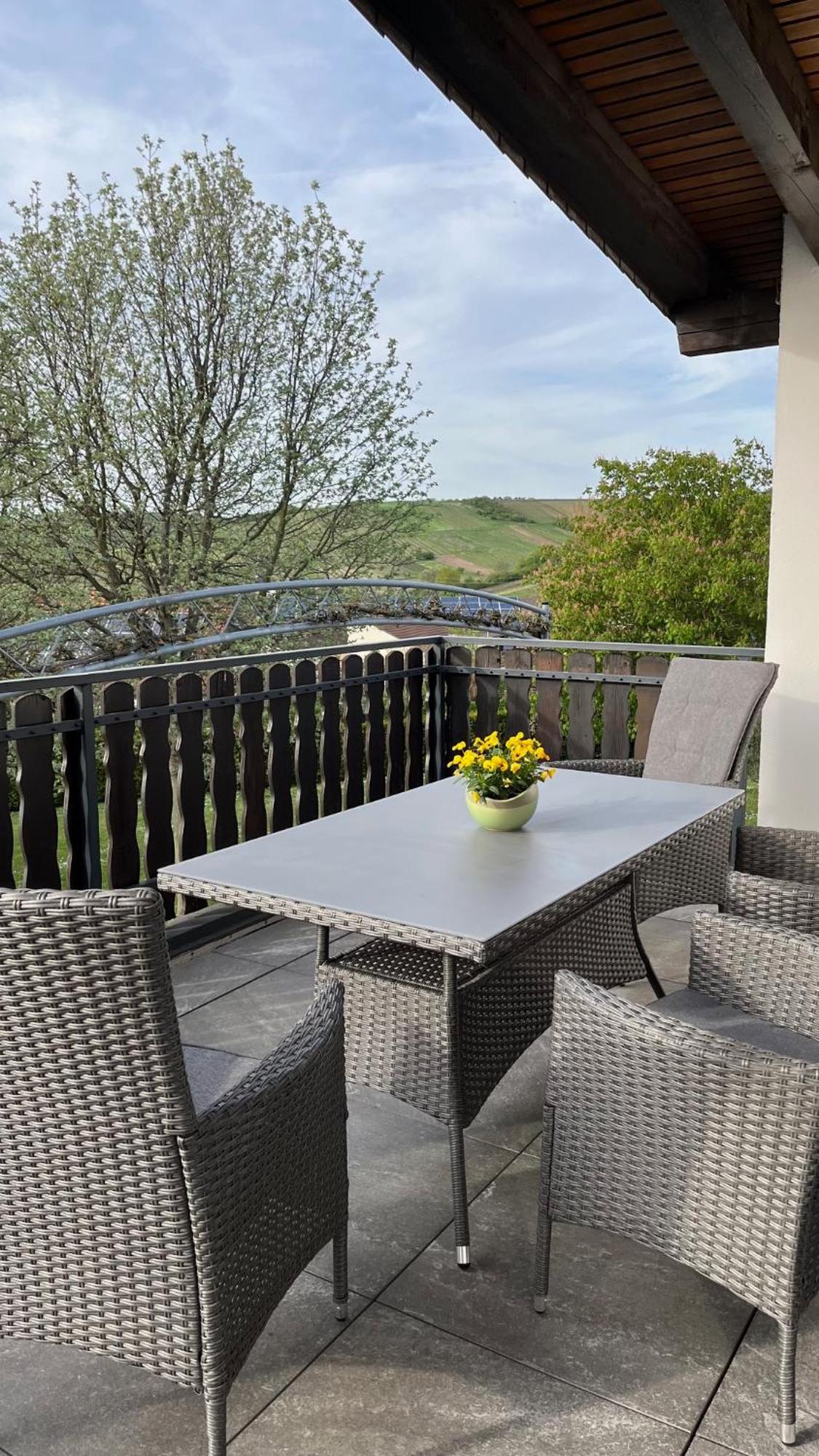 Apartment 100 Qm Im Weindorf - Balkon/Garage Aspisheim Zewnętrze zdjęcie
